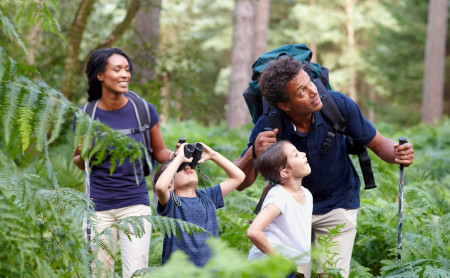 A family hiking in the woods